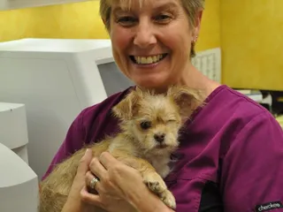 Aransas Animal Clinic