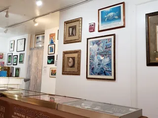 Aloha Coin & Collectibles