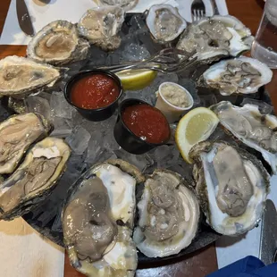Dozen Oysters On The Half Shell - SOOO GOOD!