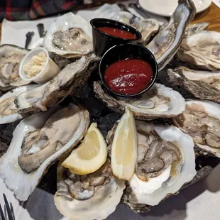 Chesapeake Bay oysters