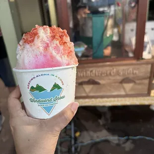 Pineapple, Coconut, Snow Cap, and Lihing Mui