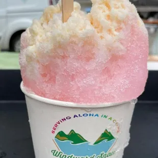 snow cap on top of everything was so damn delicious.