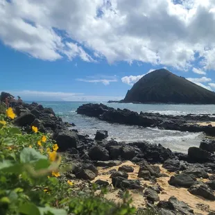 On the left island looking at the bird sanctuary