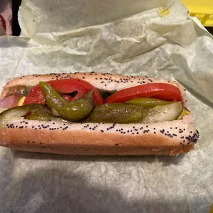 Chicago Dog