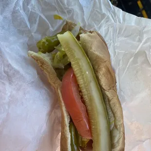 Chicago hot dog with everything