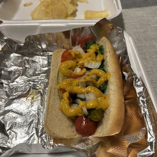 Chicago Dog