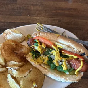 Authentic Chicago Style Dog, homemade potato chips and caramelized onion dip