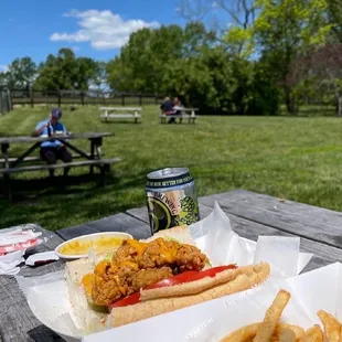 a hot dog and fries on a picnic table
