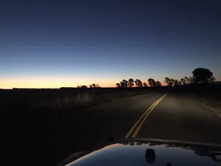 Grizzly Island Trail