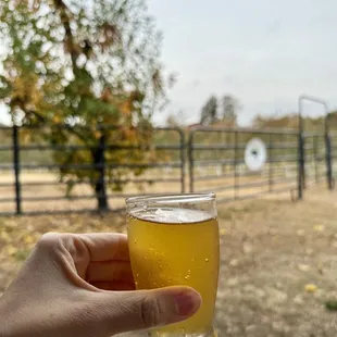 a hand holding a glass of cidery