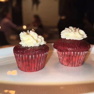 Complimentary Mini Red Velvet Cupcakes