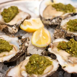 a plate of oysters