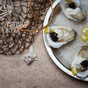Sturgeon black caviar oysters on half shell