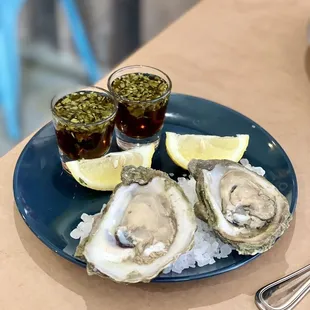 Sake Oyster Shooters