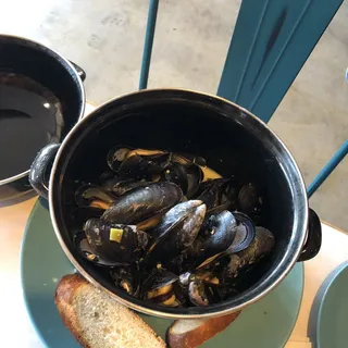 Mussels