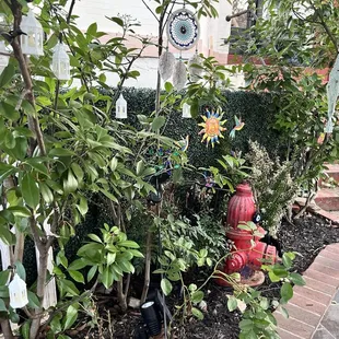 Love the garden there's more to it but this side caught my