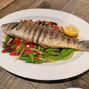 Sea Bass