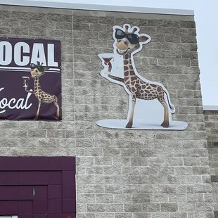 Geoffrey the giraffe all grown up now