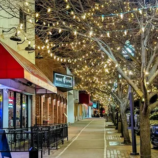 a tree lined with lights