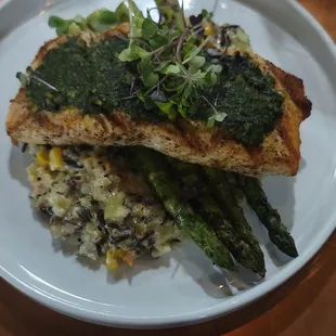 Salmon 10/10