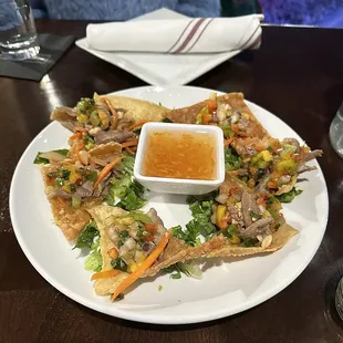 Duck Wontons