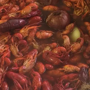 a lot of craws in a pot