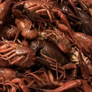 Its that time again!! First boil of the season!