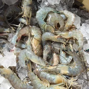 large shrimp on ice