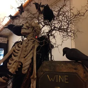 All dressed up for Halloween!!