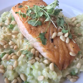 Salmon Risotto