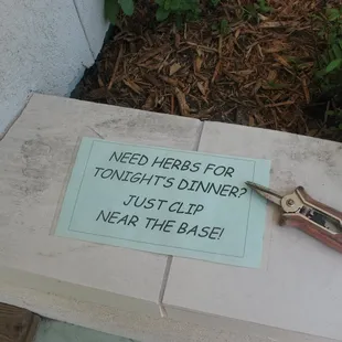Free fresh herbs at Wine Warehouse