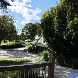 a view of the vineyard from the deck
