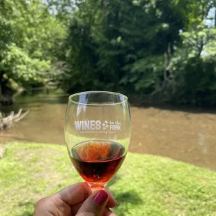 a hand holding a wine glass