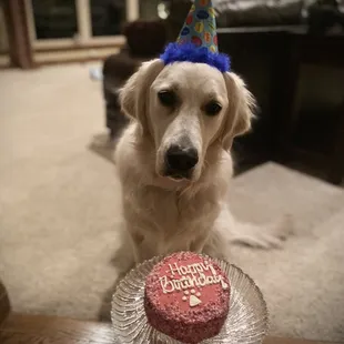 Yes, we are pet friendly on our Creekside patio