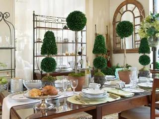 Terrasi Living & Scandia Home