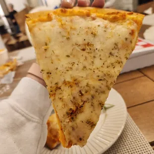 a person holding a slice of cheese pizza