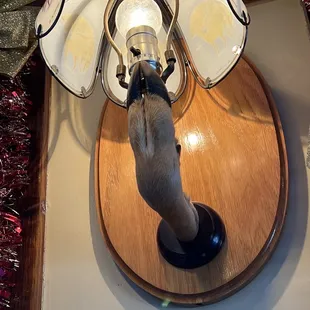 Hoof Lamp