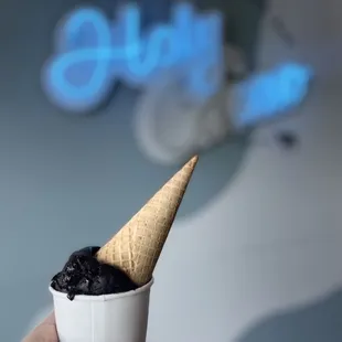 Vegan Chocolate Sorbet with a Sugar Cone