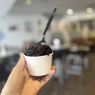 1 scoop Chocolate Sorbet (Vegan)