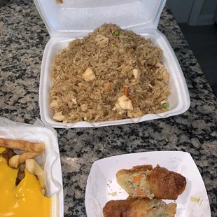 Chicken Fried Rice and Egg Roll