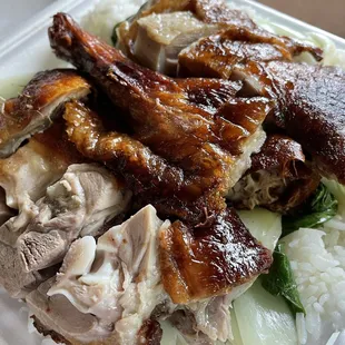 Roasted duck rice plate, didn't love it