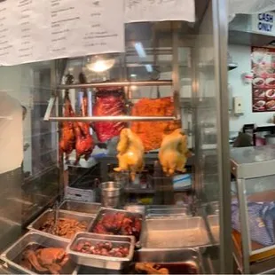 Panorama of the back