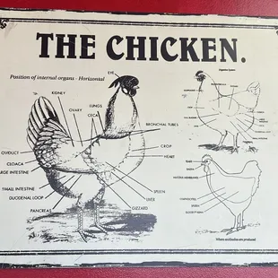 Anatomy of a chicken