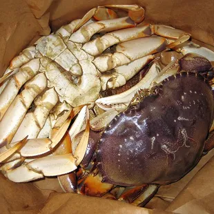 a crab in a brown paper bag