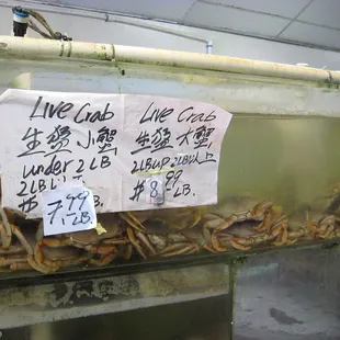 Today&apos;s crab prices 12/30/14