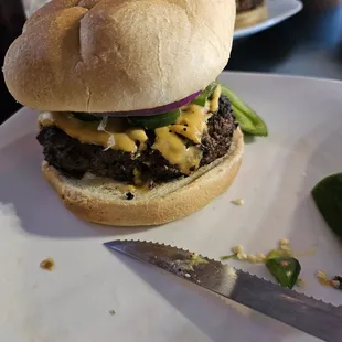 Burger was burnt, ordered it medium well. Other burger that was ordered was suppose to be medium, it was still moowing!!!