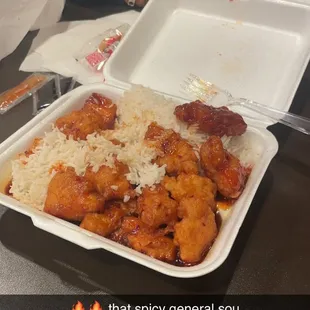 Hot and Spicy general sou with white rise
