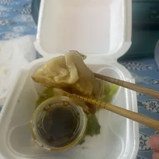 Pan-Fried Dumplings. i ate most of them already
