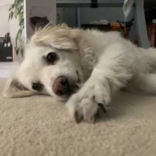 Maddie C.