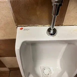 This gums been here like 3 days.